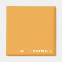 Cape Gooseberry yellow color name