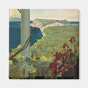 Aimant Capri