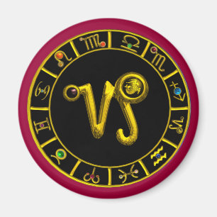 AIMANT CAPRICORN