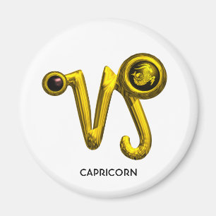 AIMANT CAPRICORN