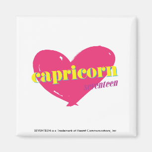 Aimant Capricorne