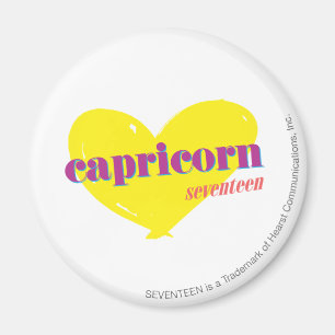 Aimant Capricorne 3