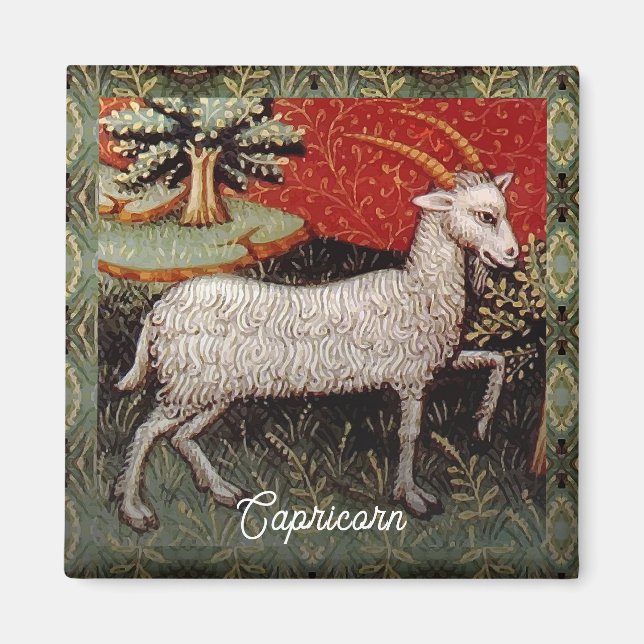 Aimant Capricorne chèvre signe Zodiac fête d'anniversaire (Devant)