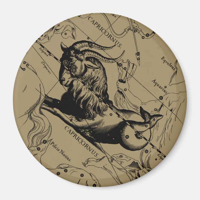Aimant Capricorne Constellation Hevelius 1690 sur Taupe (Devant)