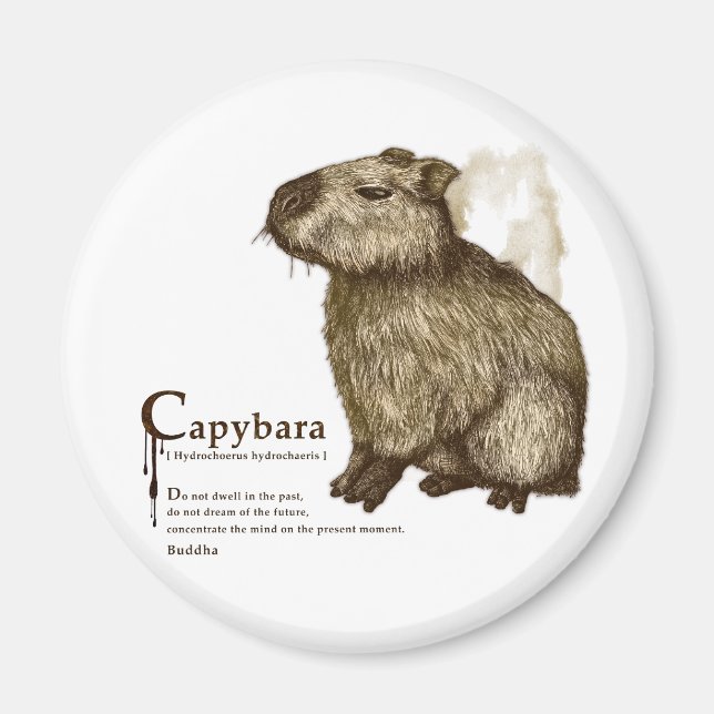 Aimant capybara - sepia (Devant)