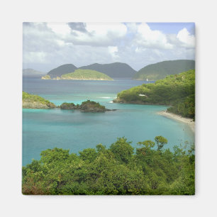 Aimant Caraïbes, Îles Vierges américaines, St. John, Trun