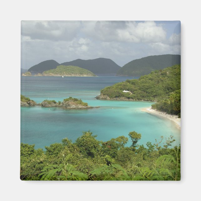 Aimant Caraïbes, Îles Vierges américaines, St. John, Trun (Devant)