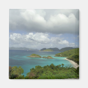 Aimant Caraïbes, Îles Vierges américaines, St. John, Trun