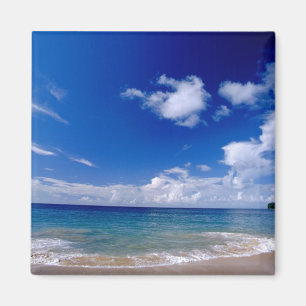 Aimant Caraïbes, Petites Antilles, Antilles occidentales,