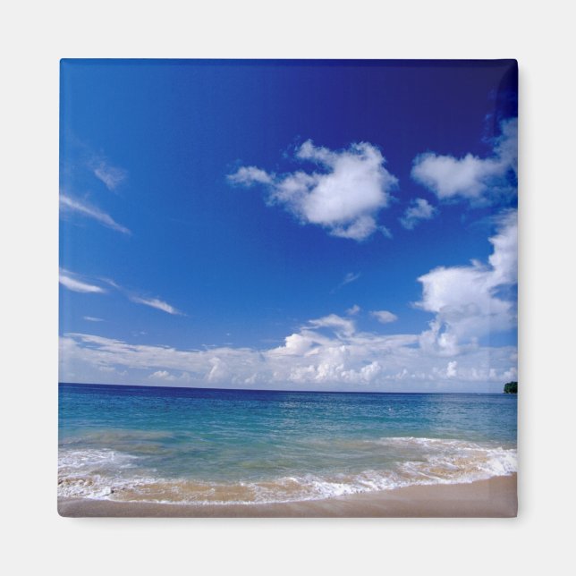 Aimant Caraïbes, Petites Antilles, Antilles occidentales, (Devant)