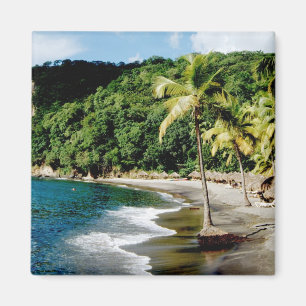 Aimant Caraïbes, Petites Antilles, Indes occidentales, Sa