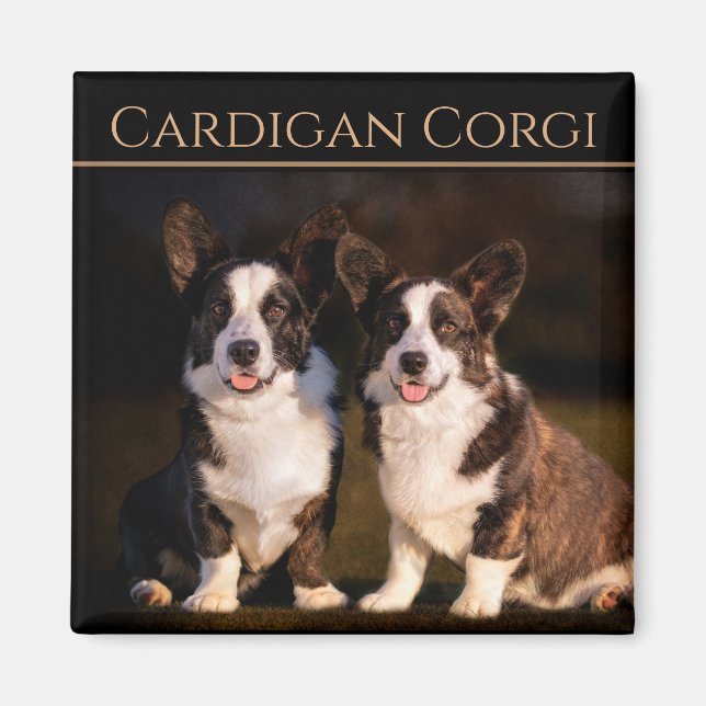 Aimant Cardigan Welsh Corgi (Devant)