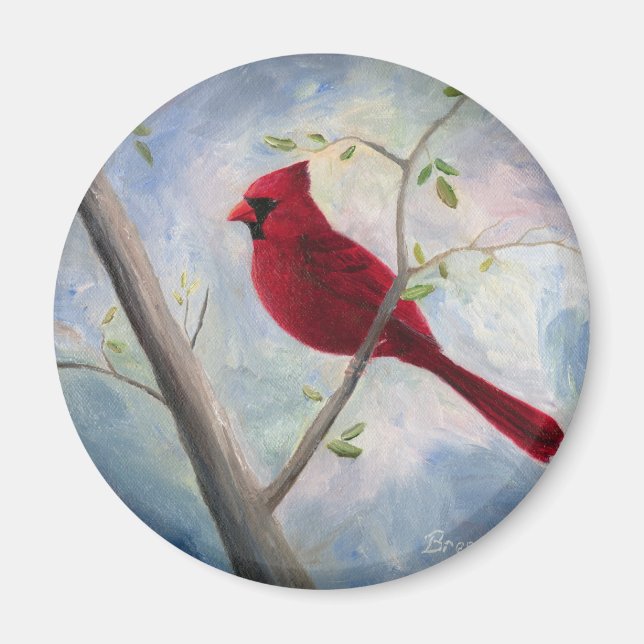 aimant cardinal (Devant)