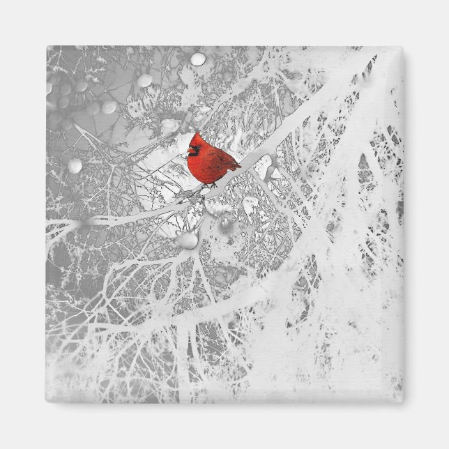 Aimant Cardinal en hiver (Devant)