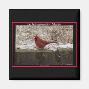 Aimant Cardinal Hot Springs Nat. Cadeaux AR Park Mountain