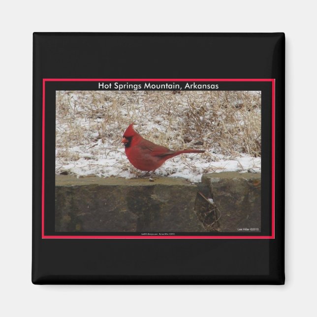 Aimant Cardinal Hot Springs Nat. Cadeaux AR Park Mountain (Devant)
