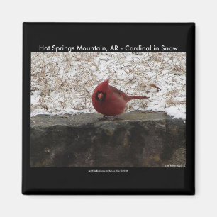 Aimant Cardinal Hot Springs Parc Nat Mt AR Cadeaux Vêteme