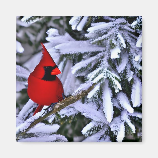 Aimant Cardinal rouge d'hiver (Devant)