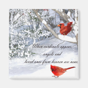 Aimant Cardinals from heaven