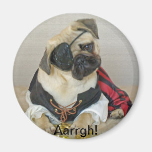 Aimant Carlin magnétique