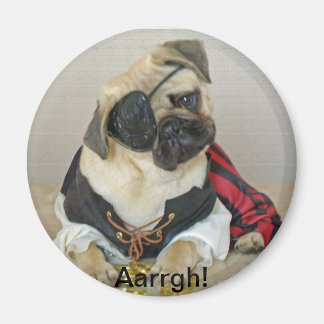 Aimant Carlin magnétique