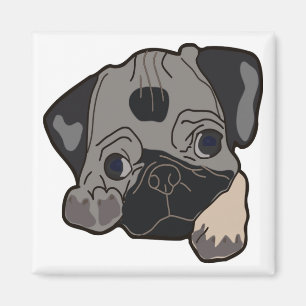 AIMANT CARLIN PUPPY DOG