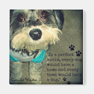 Aimant Carmine Winston III- "Dans un monde parfait..." Ma