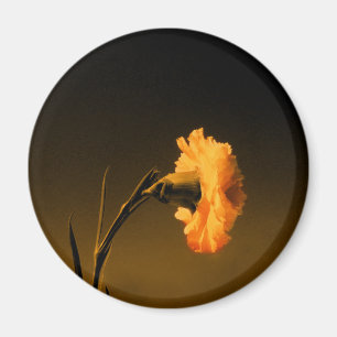 Aimant carnation