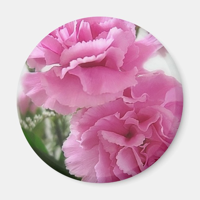 Aimant Carnations roses 1 (Devant)