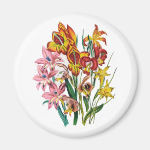 Aimant Carnaval des fleurs