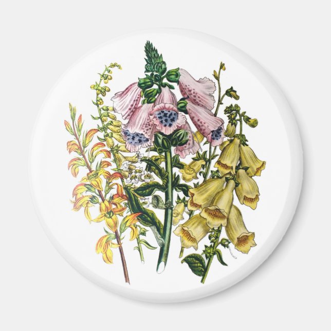 Aimant Carnaval des fleurs (Devant)