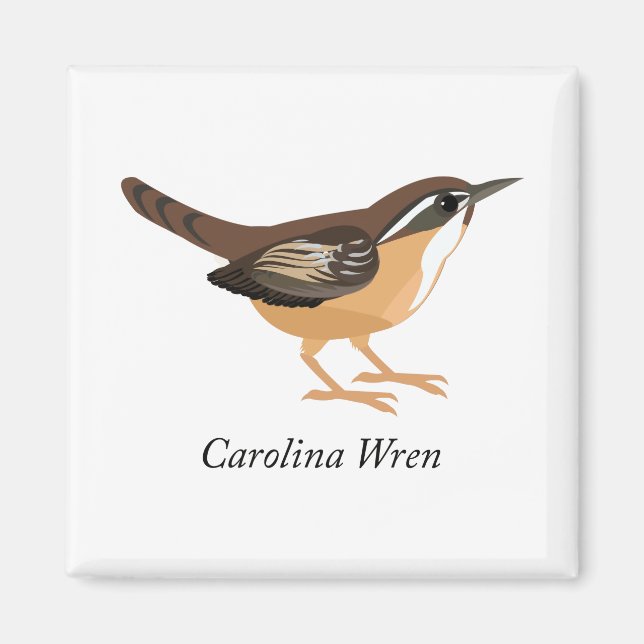 Aimant Carolina Wren (Devant)