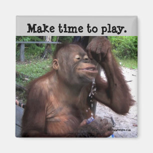 Aimant Carpe Diem Cute Wildlife