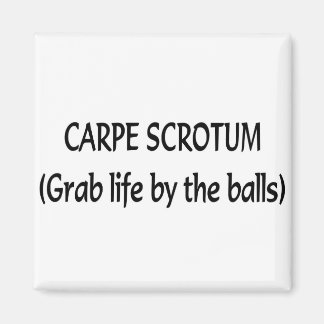 Aimant Carpe Scrotum