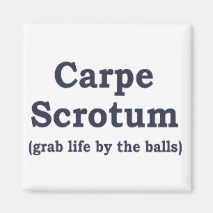 Aimant Carpe Scrotum
