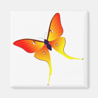 Aimant Carré à papillon orange