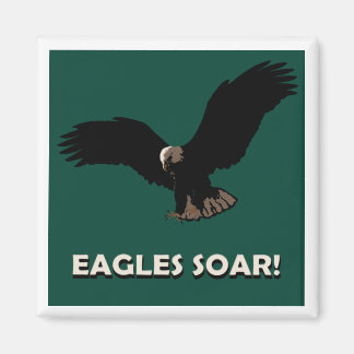 Aimant Carré d'aigle volant