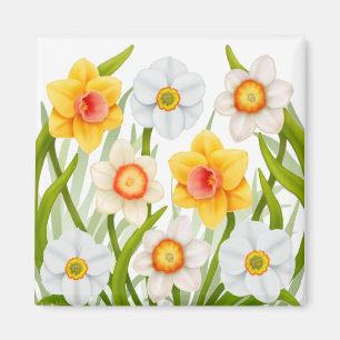 Aimant Carré d'aimant Daffodils de printemps
