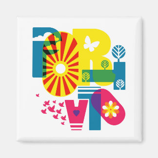 Aimant Carré de 2 pouces