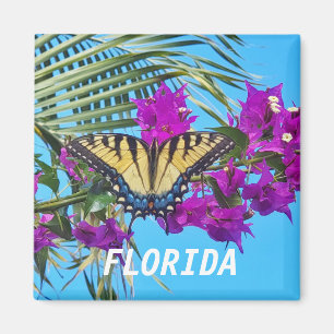 Aimant Carré de 2 pouces