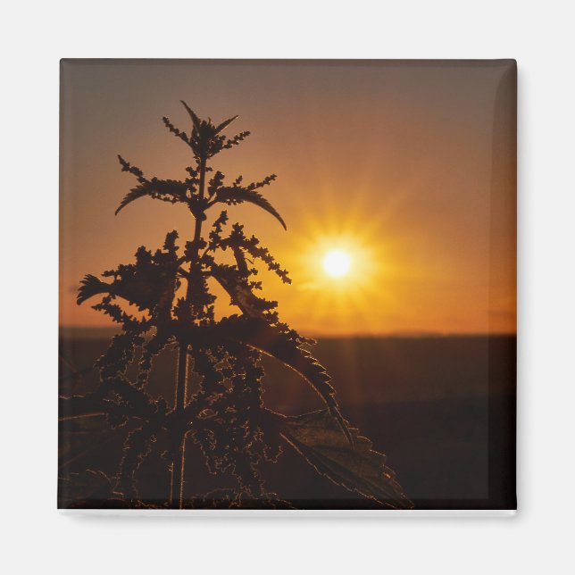 Aimant Carré de 2 pouces avec beau coucher de sole (Devant)