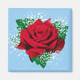 Aimant carré de ROSE ROUGE