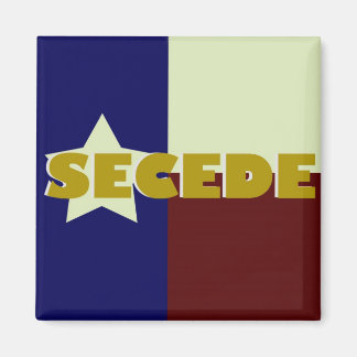 Aimant carré Texas SECEDE