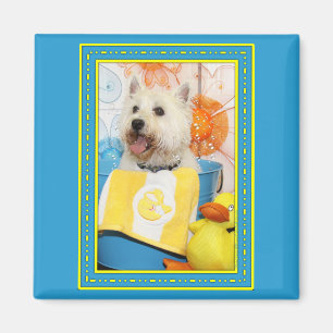 Aimant Carson - Terrier des montagnes occidental -6