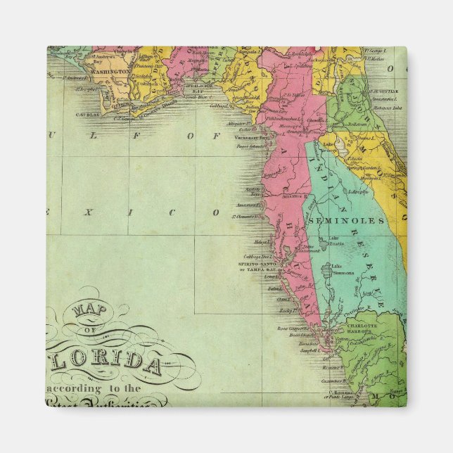 Aimant Carte de Floride (Devant)