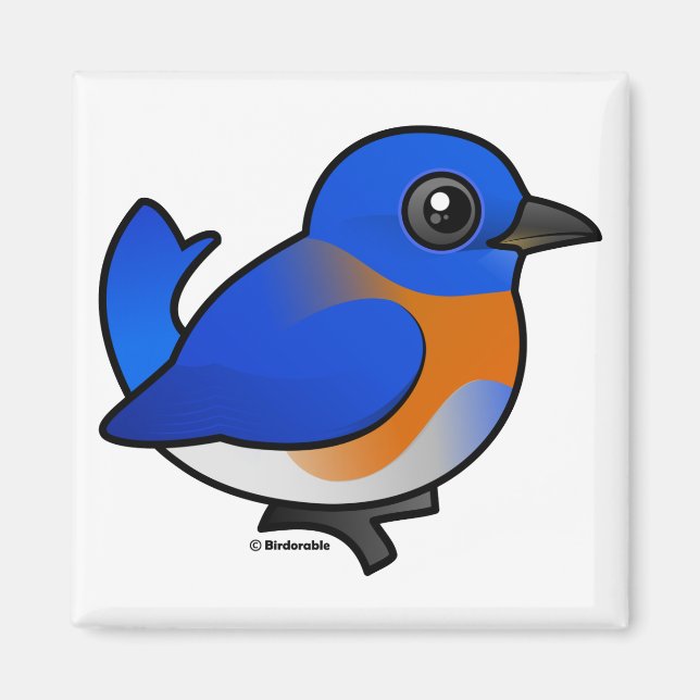 Aimant Carton Western Bluebird (Devant)