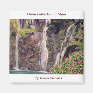Aimant Cascades de Hana à Maui, Hawaii