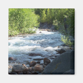 Aimant Casquettes blancs.