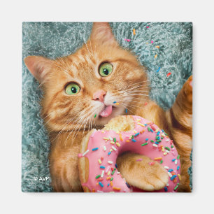 Aimant Cat Eating Donut