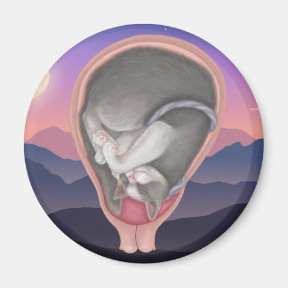 Aimant Cat Fetus